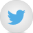 Share on Twitter twitter